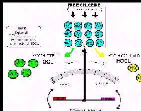 diagram of dissociation of HOCL & OCL
